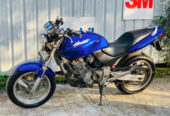 Honda hornet 250 ch100 2009