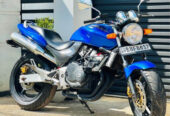 Honda hornet 250 ch115 2014