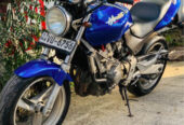 Honda hornet 250 ch100 2009