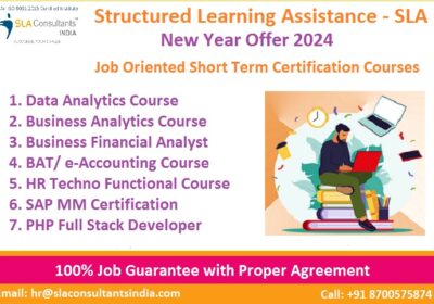 Business-Analytics-Course-in-Delhi-2