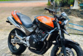 Honda hornet 250 ch115