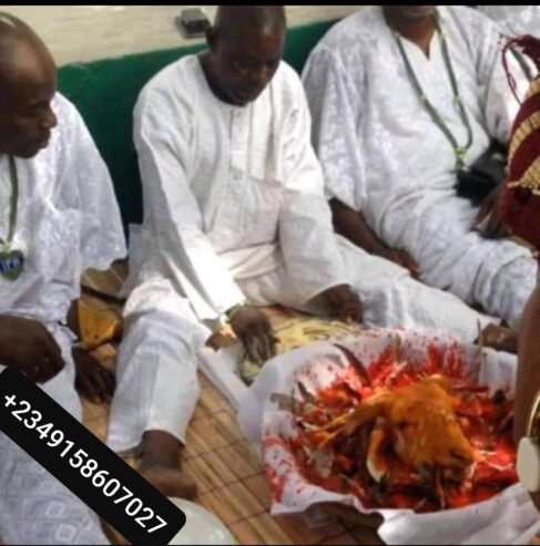 The most important powerful native doctor in all ogun state Nigeria